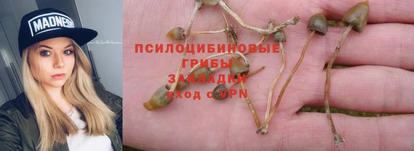а пвп мука Абаза