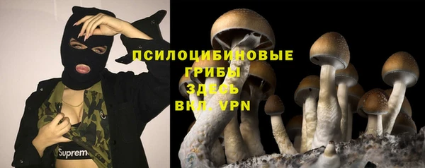 а пвп мука Абаза