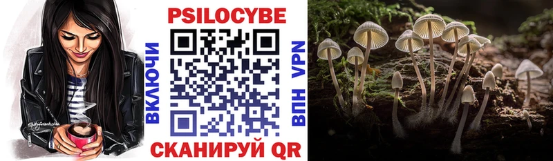 Псилоцибиновые грибы Magic Shrooms  Приволжск 